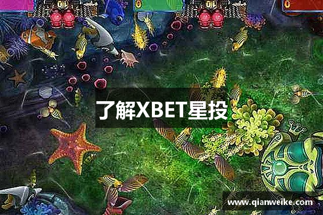 了解XBET星投
